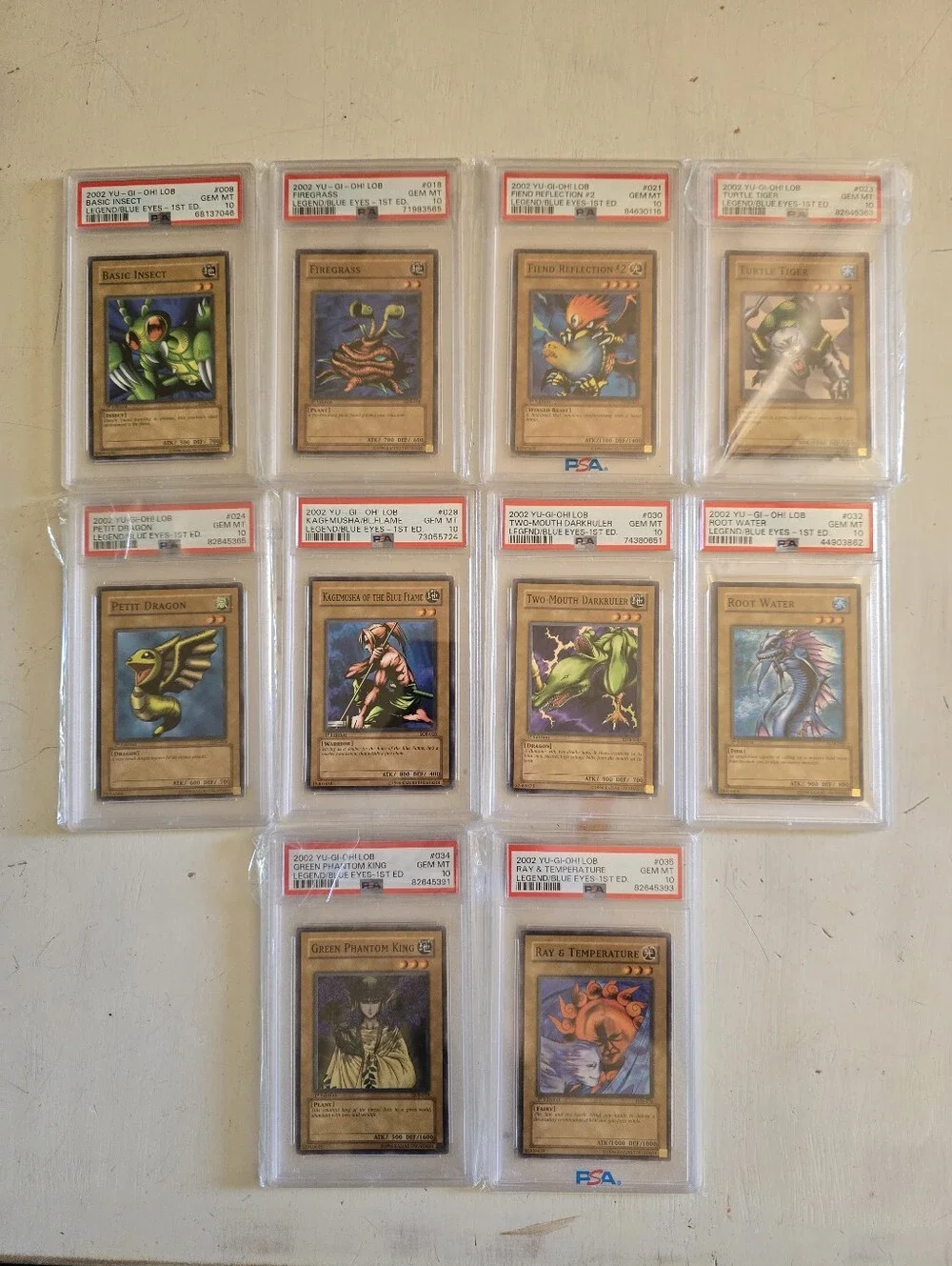 (40) PSA 10 1st. Edition LOB Slabs